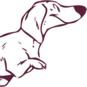 Logo Dackelzucht